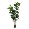 063532_0.png