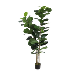 063532_0.png