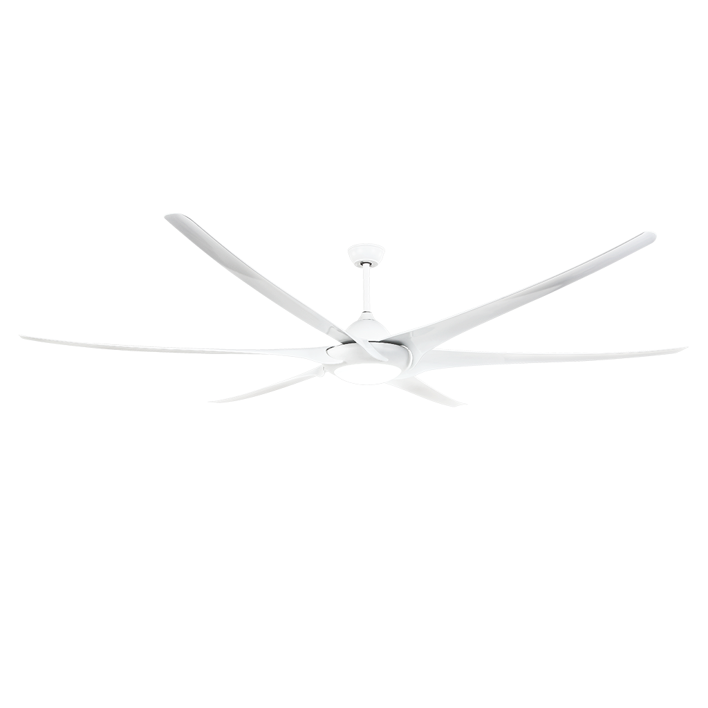 065944_0.png
