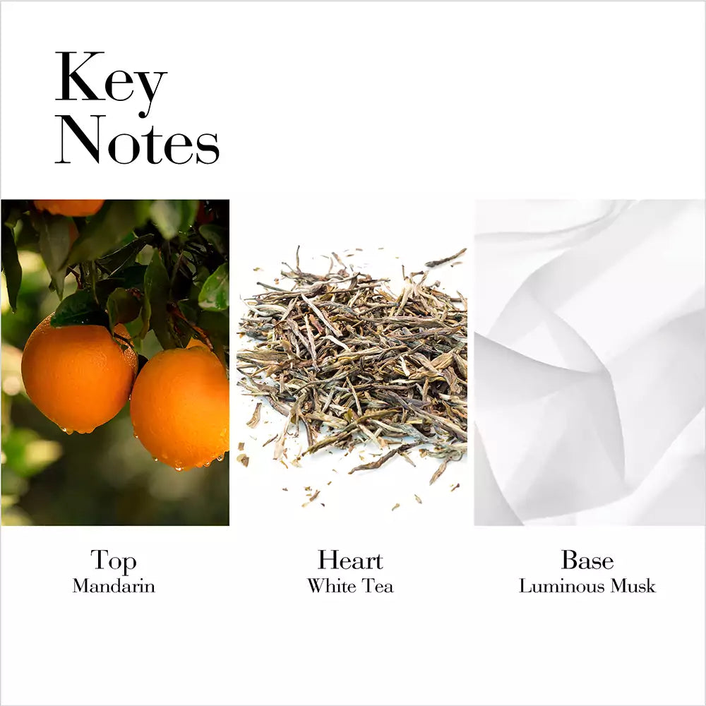 EA White Tea Mandarin EDT 100 ml.
