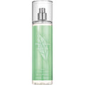 EA Green Tea (P) Body Mist 8.0 oz