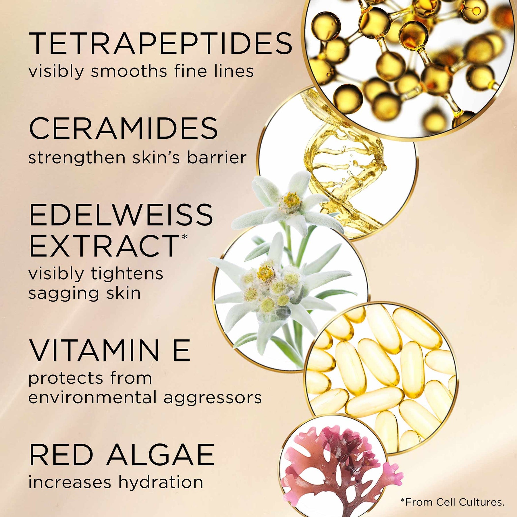 EA Ceramide Lift & Firm Day SPF15 50ML