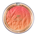 Kokie Soft Gradient Blush Tender 05