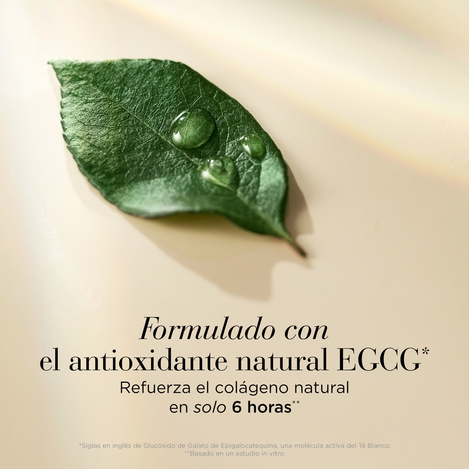 EA White Tea Skin Solutions Replenishing Micro-Gel Cream 50 ml.