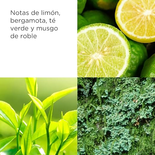EA Green Tea Gel Baño 200 Ml