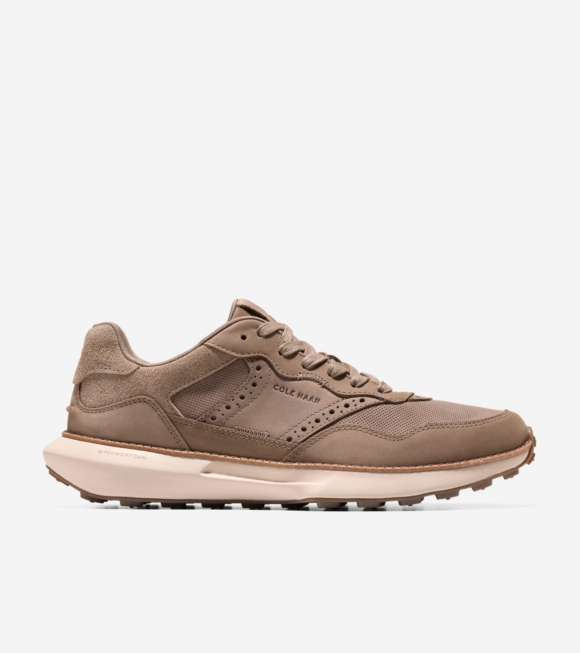 C42248:CH IRISH COFFEE / CH IRISH COFFEE SUEDE / CH OAT