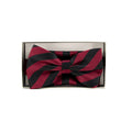 Corbatin Charles's Wain Con Pañuelo P/ Caballeros PMTH2915RAYA by Charles's Wain