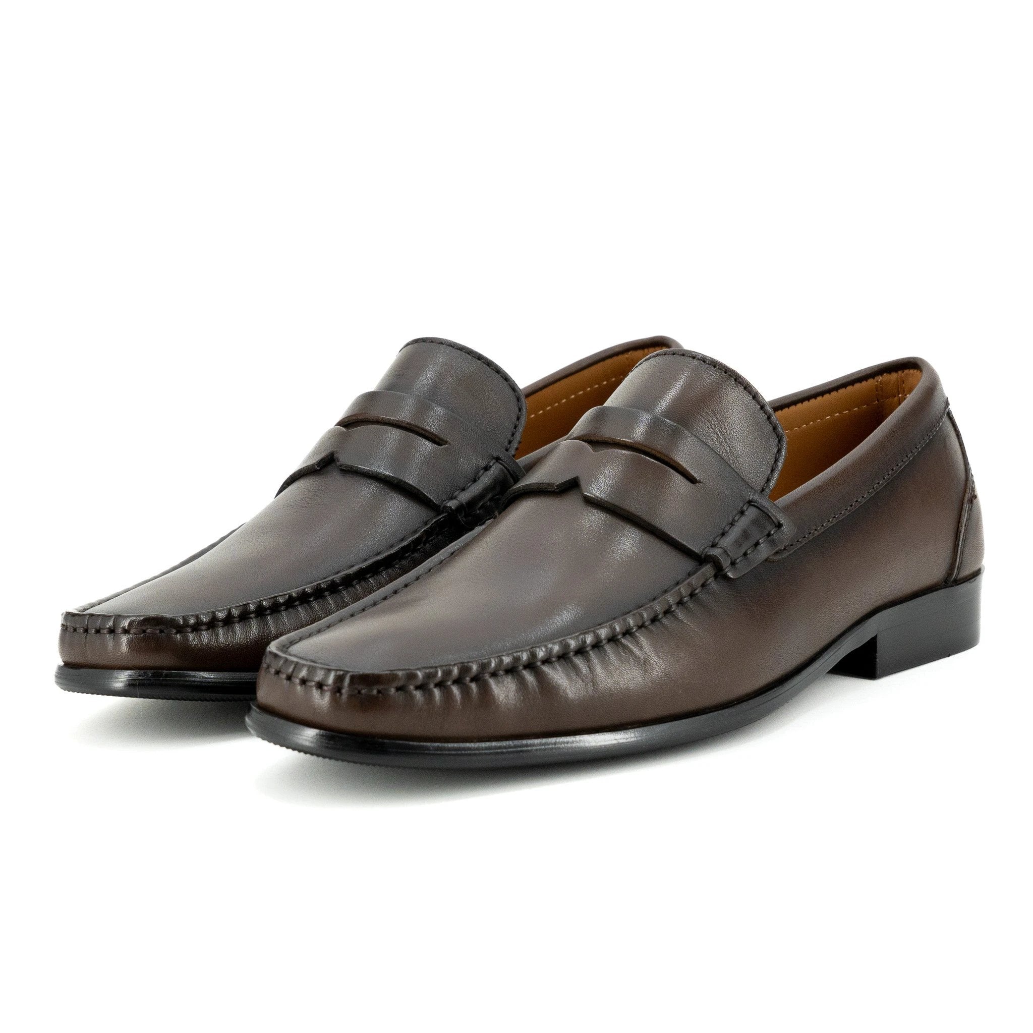 Zapatos Focus Accini P/ Caballeros by Focus