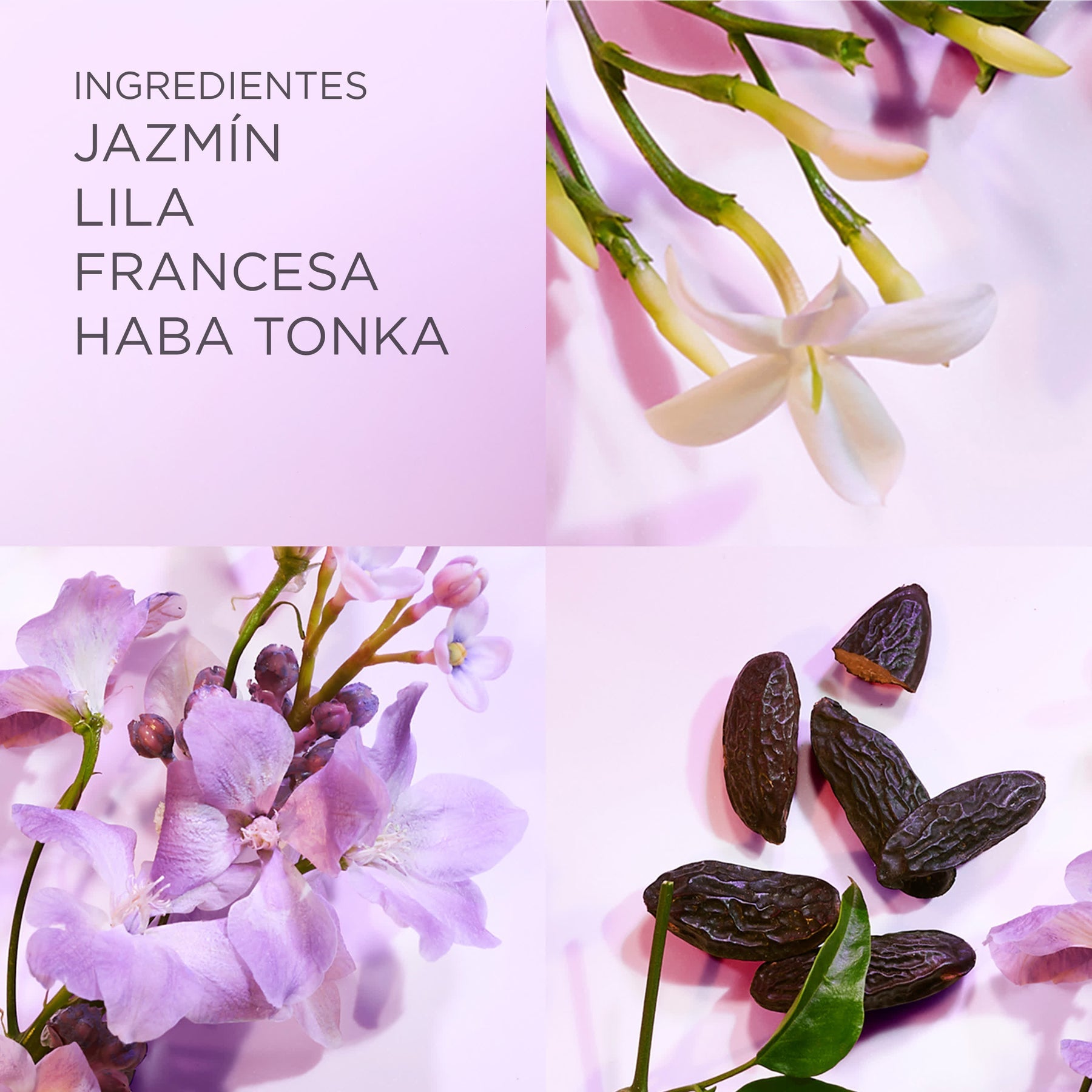 EA White Tea Lilac EDT 50ml
