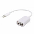 Cable OTG iPhone