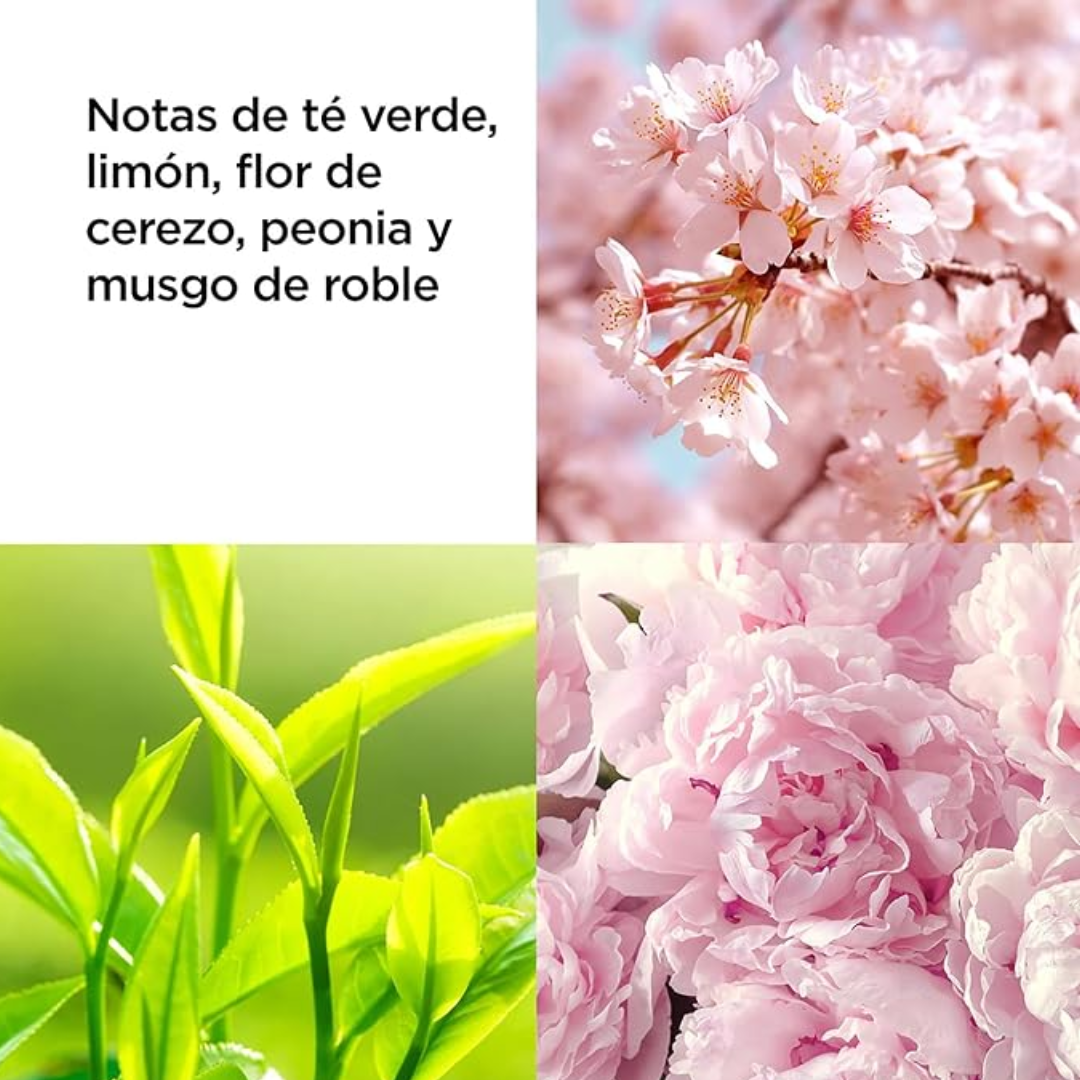 EA Green Tea (P) Cherry Blossom Body Mist 8oz