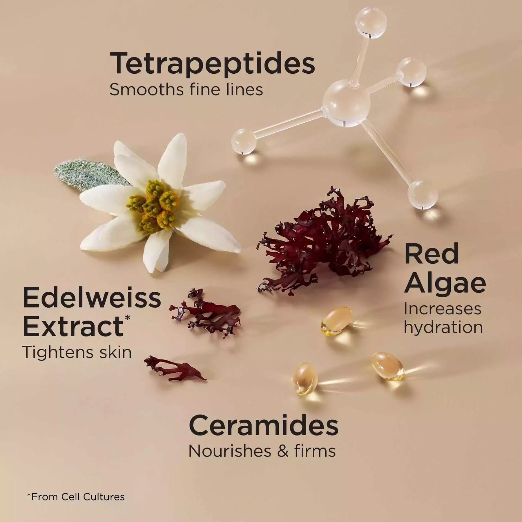 EA Ceramide Lift & Firm Night Crema 50 ml.