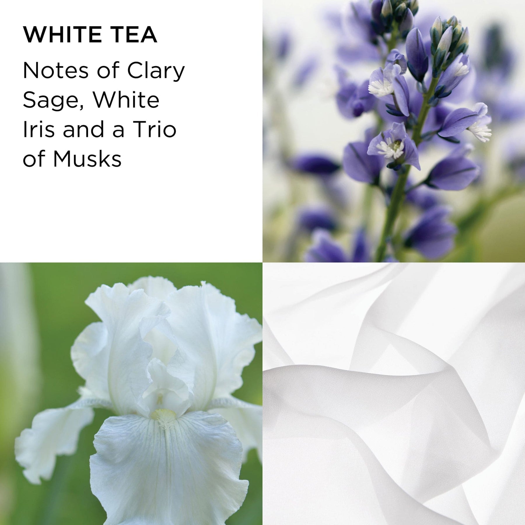 EA White Tea Pure Indulgence Body Cream